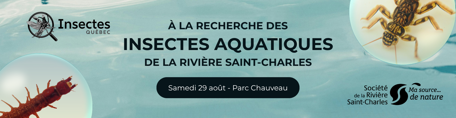 À la recherche des insectes aquatiques de la rivière Saint-Charles