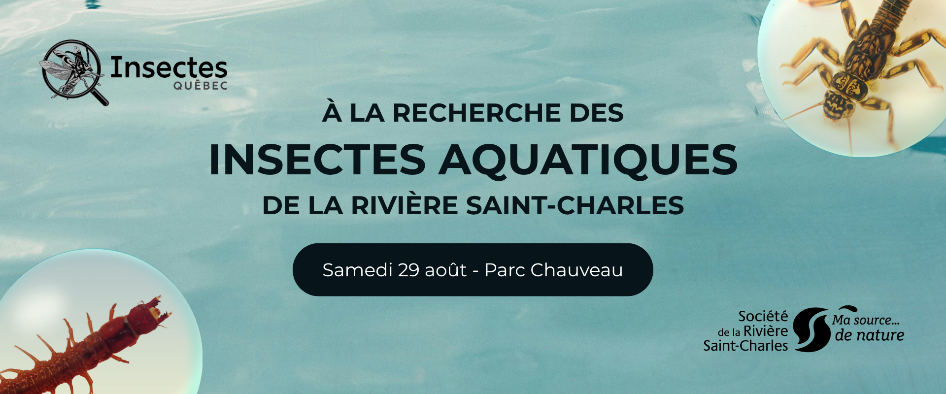 Carrousel Accueil - À la recherche des insectes aquatiques de la rivière Saint-Charles