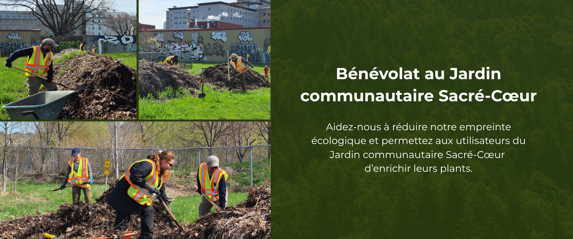 Bénévolat : Jardin communautaire Sacré-Coeur