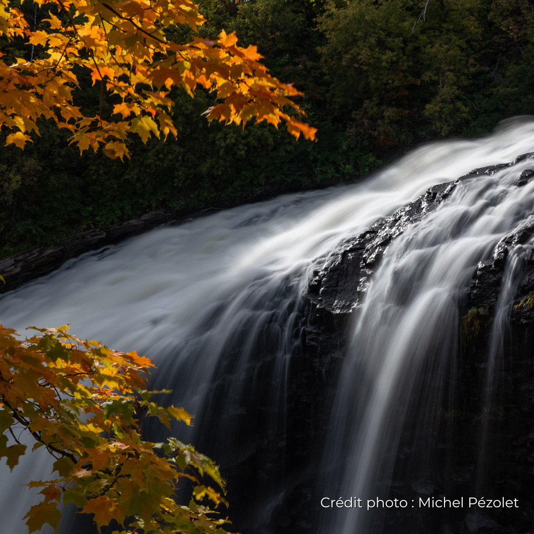 photo Kabir Kouba automne Michel Pézolet