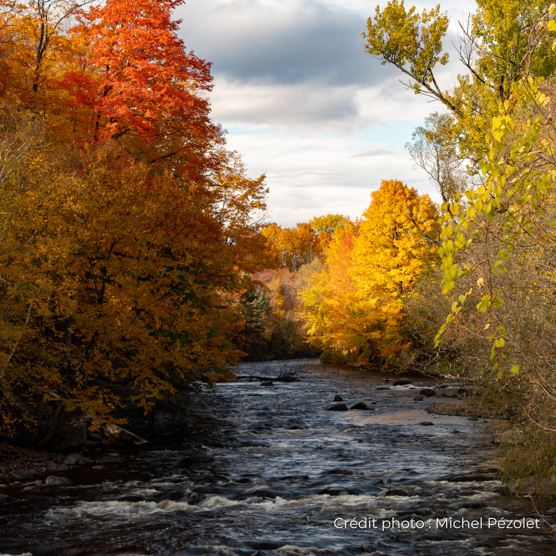 Photo rivière Saint-Charles automne 2 Michel Pézolet