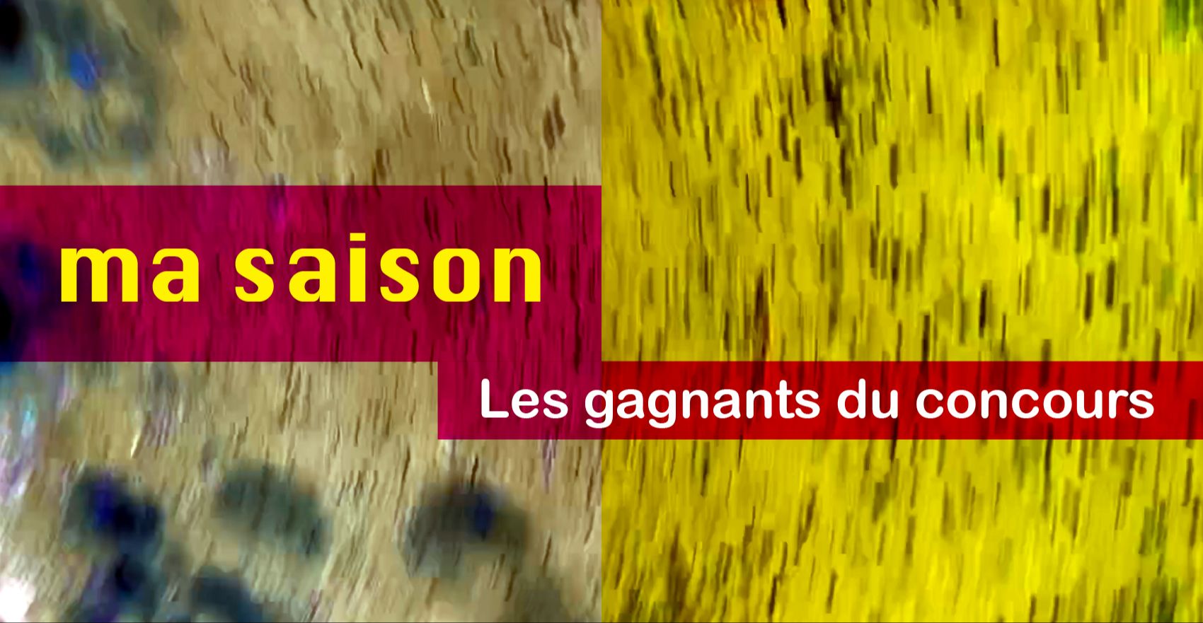 Concours - Gagnants 2025