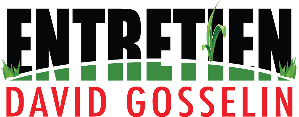 Logo 6