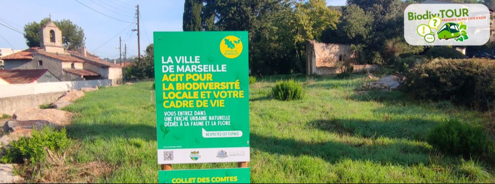 Marseille et ses FUN « Friches Urbaines Naturelles » |  ARBE (13)