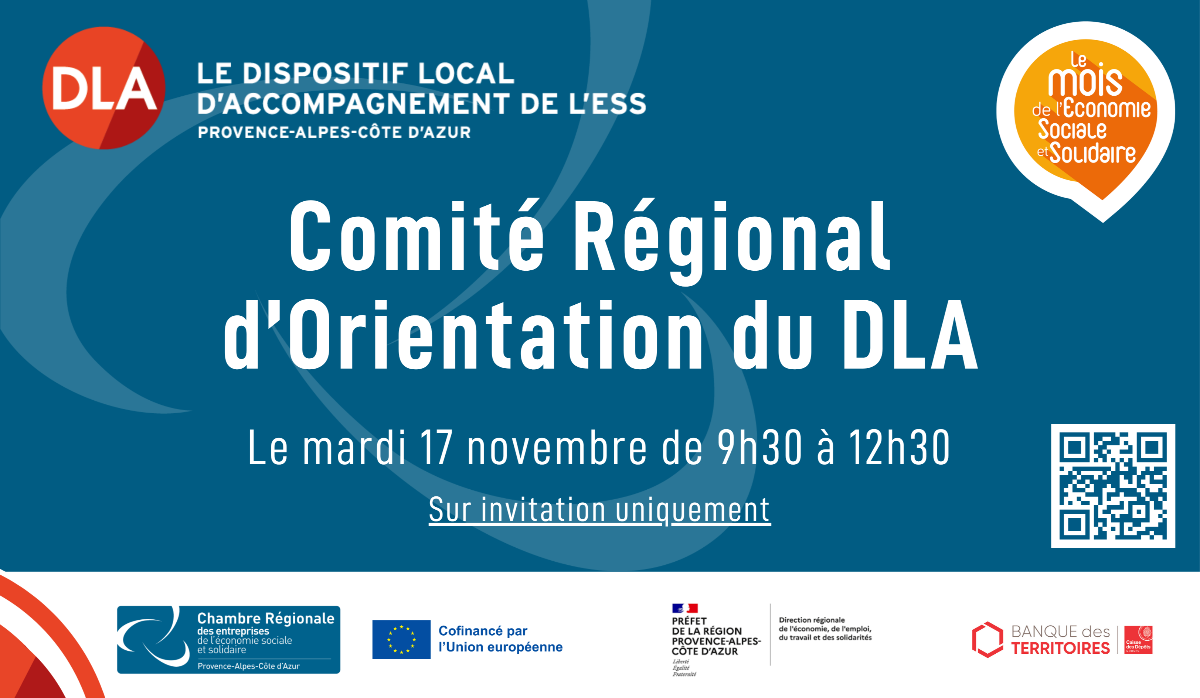 Comité régional d'orientation du DLA