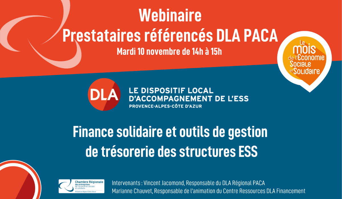 Webinaire prestataires DLA