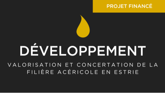 Articles - Vignette