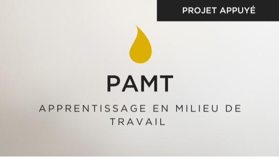 Apprentissage en milieu de travail (PAMT)