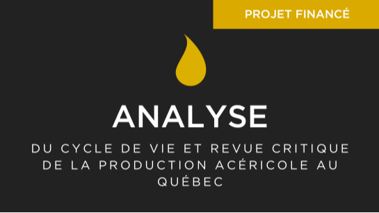 Articles - Vignette