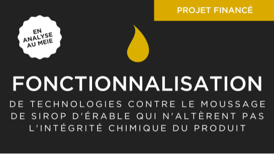 Fonctionnalisation de technologies contre le moussage de sirop d'érable qui n'altèrent pas l'intégrité chimique du produit