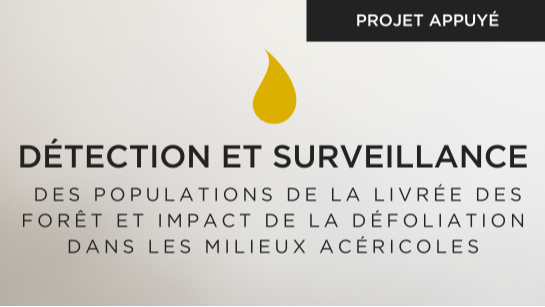 Articles - Vignette