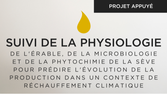 Suivi de la physiologie de l'érable, de la microbiologie et de la phytochimie de la sève pour prédire l'évolution de la production dans un contexte de réchauffement climatique