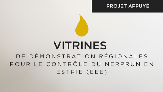 Articles - Vignette