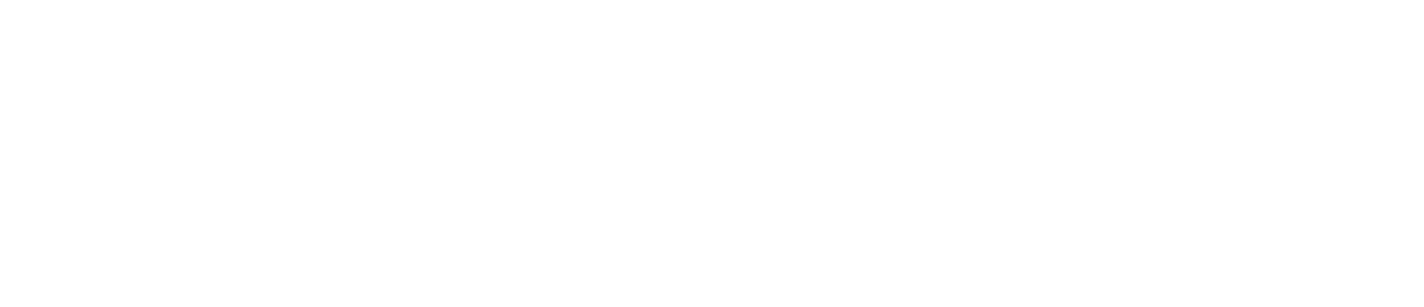 Partenaires piliers