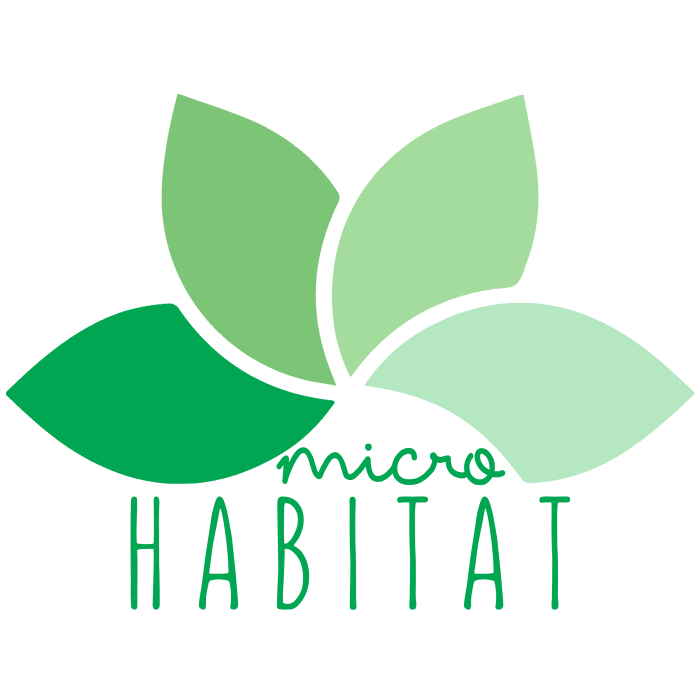 Logo Media Graph