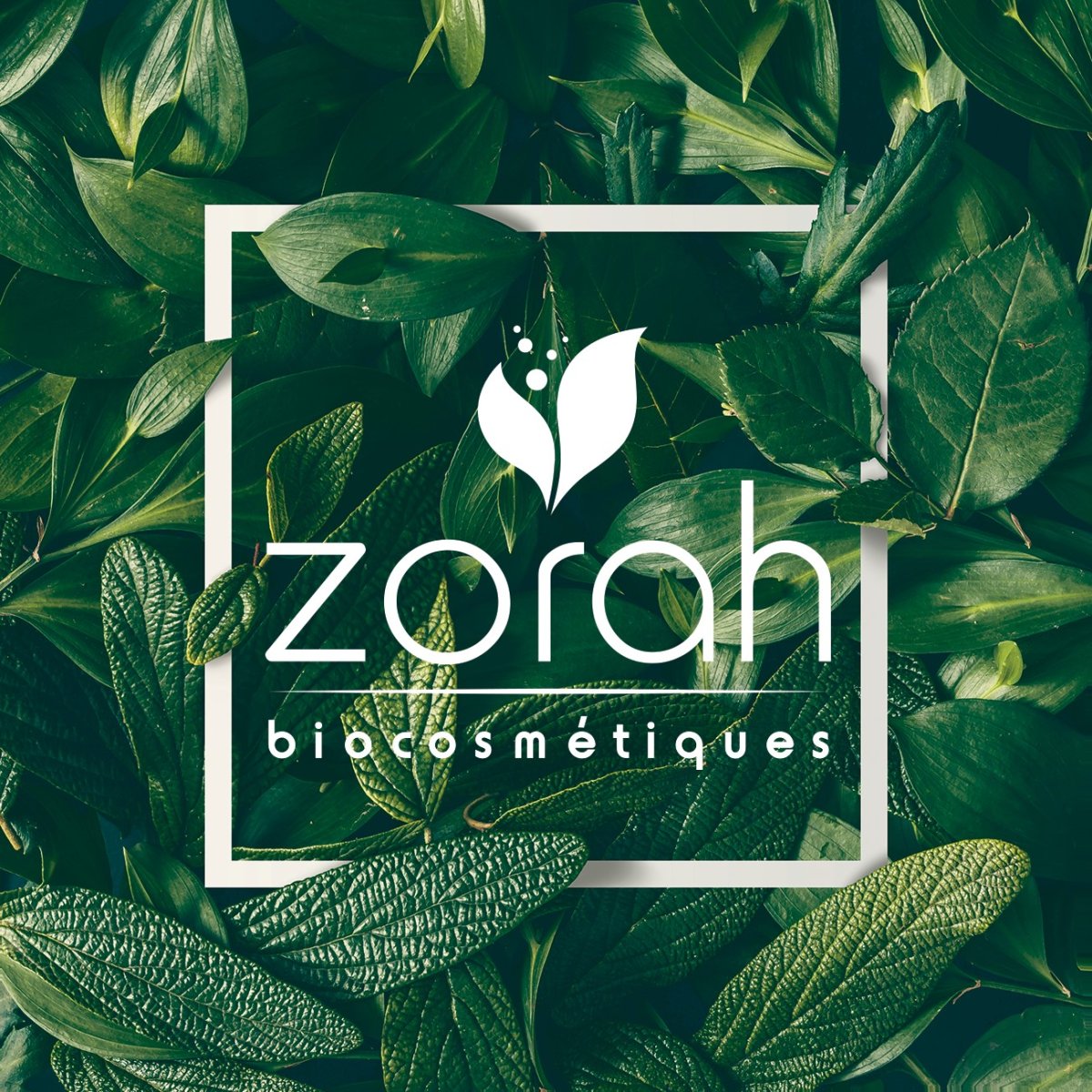 Logo Zorah