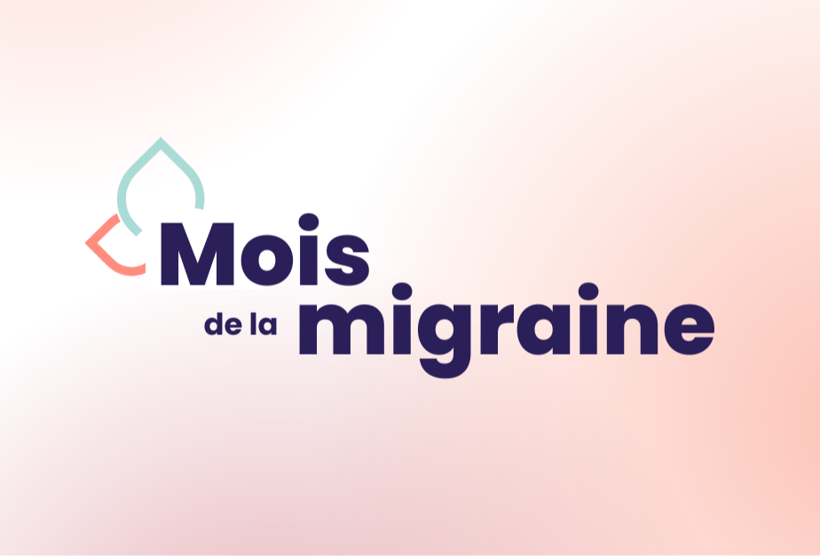 Articles - Vignette