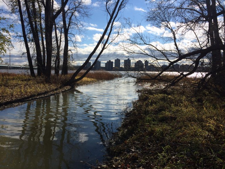 Rivière des Prairies