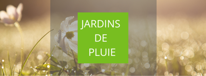 Jardins de pluie