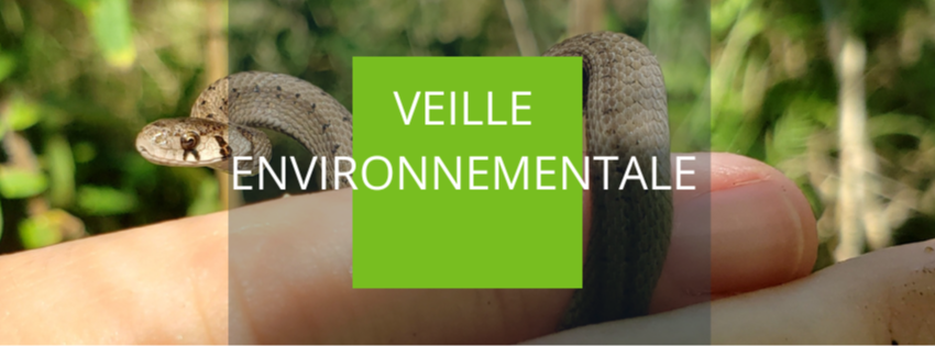 Veille environnementale 