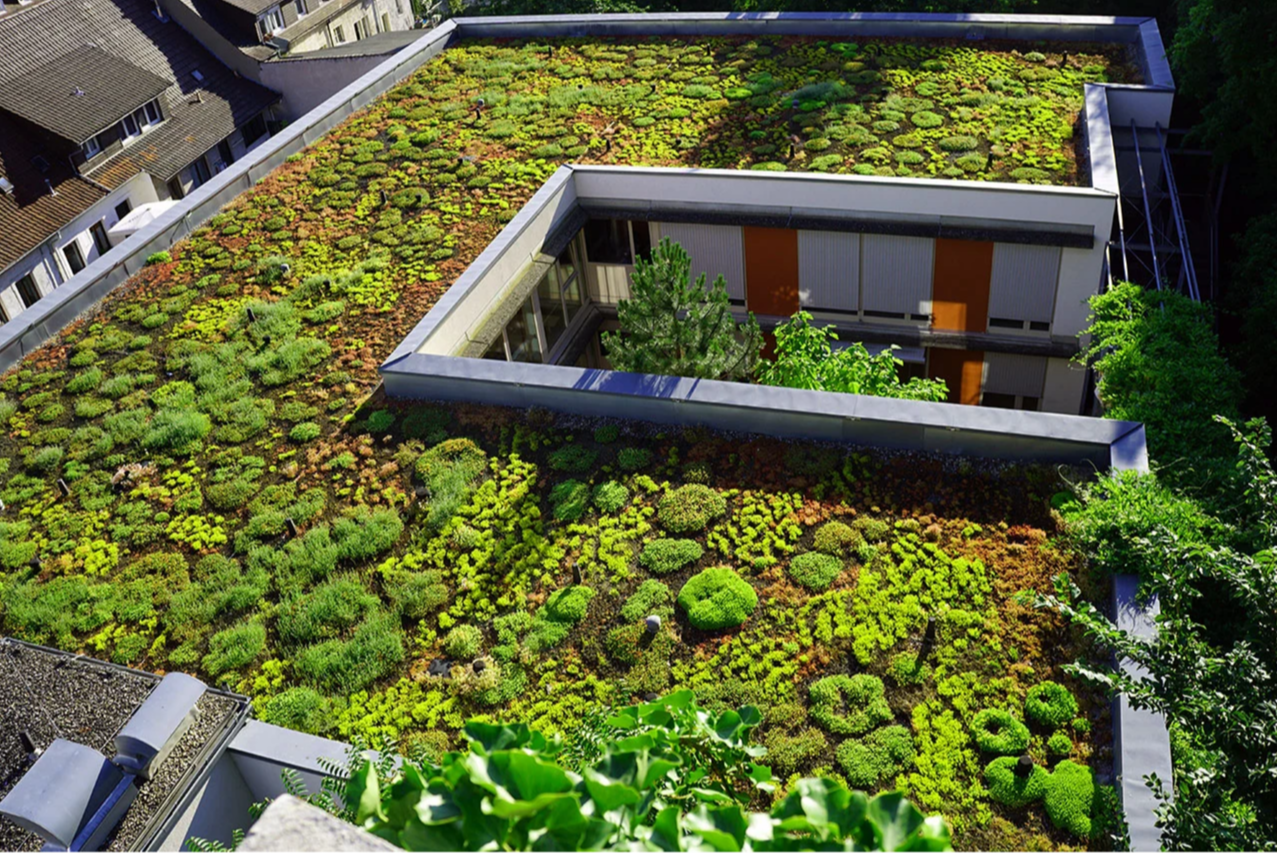 Green roof