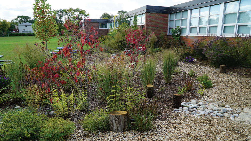 Rain garden