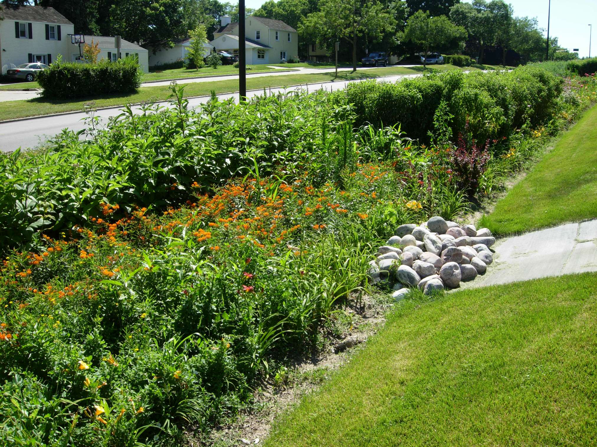 Vegetated swale