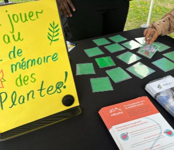 Articles - Image d'intro