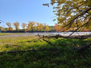 Suivi des plaintes et veille environnementale