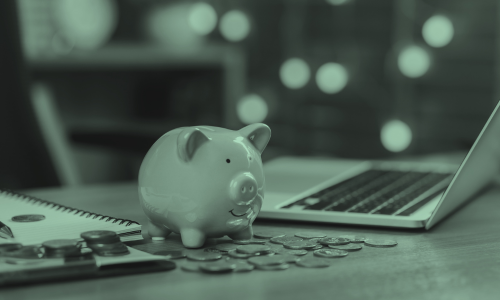 LE FINANCEMENT PUBLIC