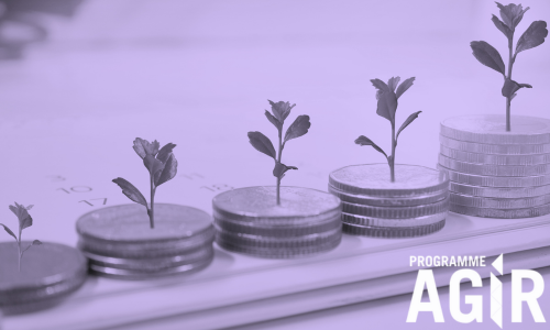 AGIR – PHILANTHROPIE CULTURELLE: TENDANCES ET MEILLEURES PRATIQUES