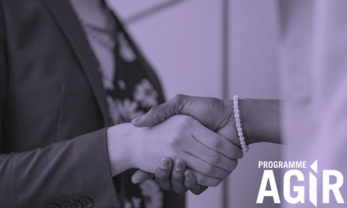 AGIR - RÉSEAUTAGE STRATÉGIQUE – Développer un réseau de contacts efficace