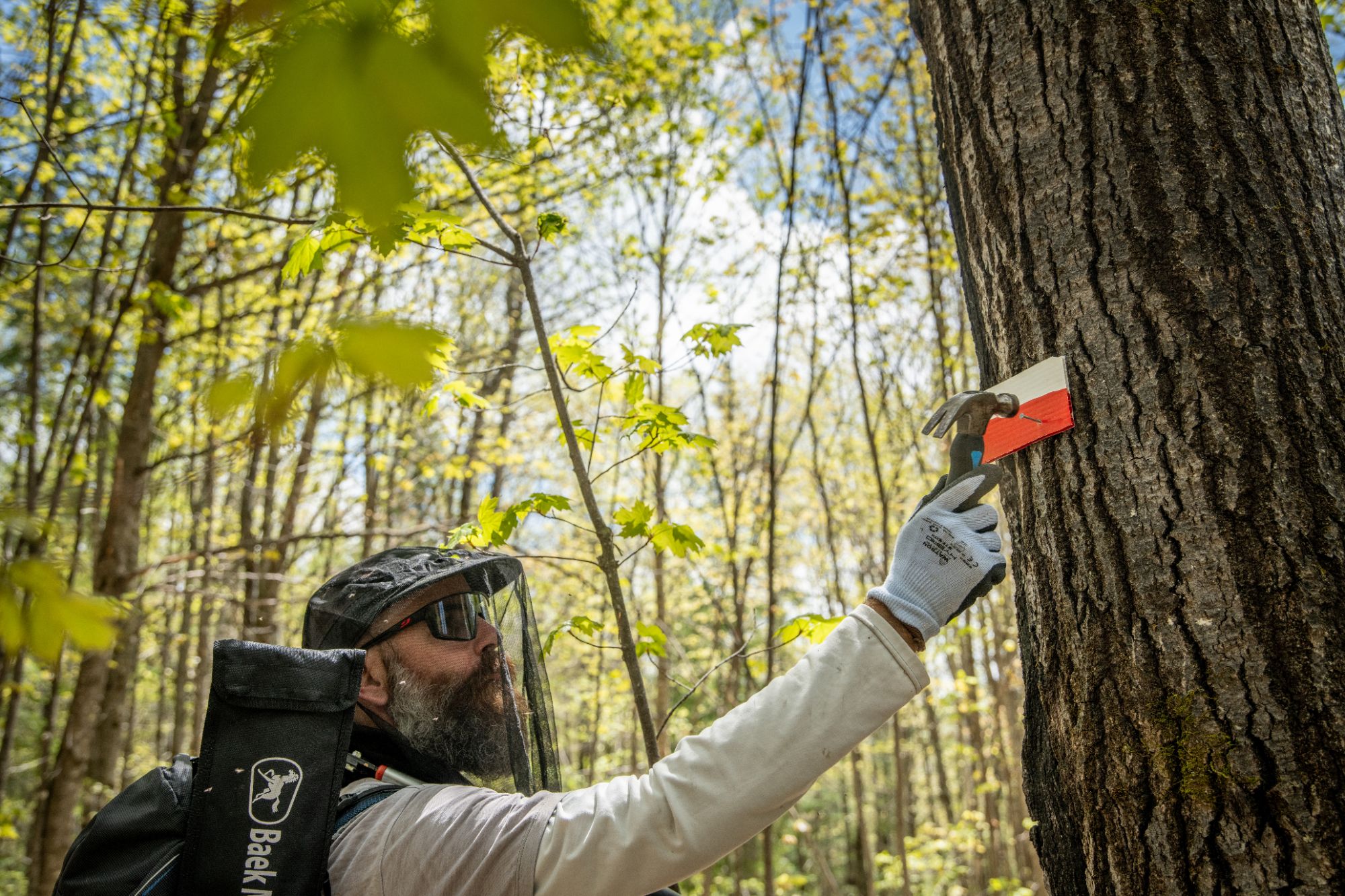 Gestionnaire de sentiers | Virtuel