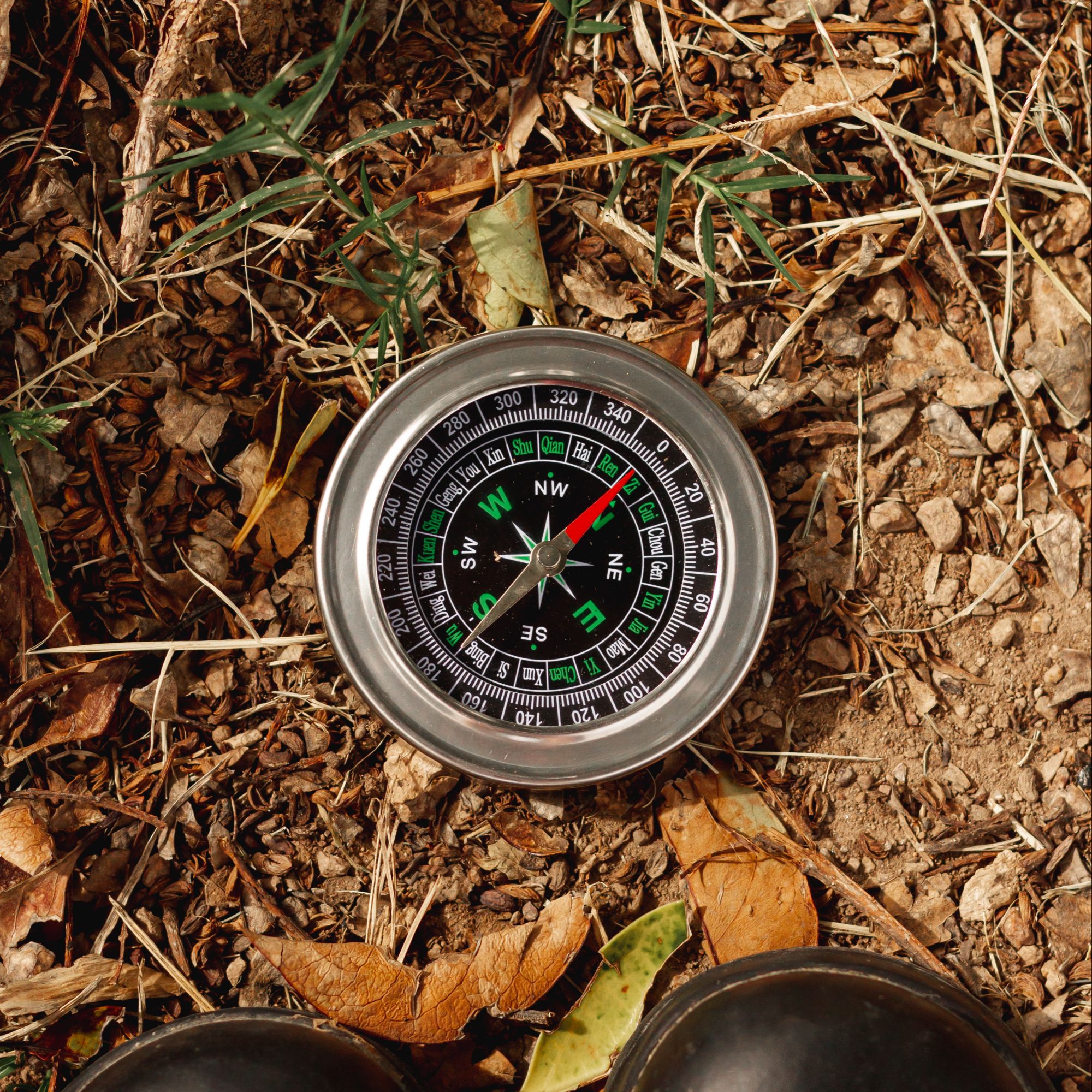 Orientation  + module navigation | Charlevoix