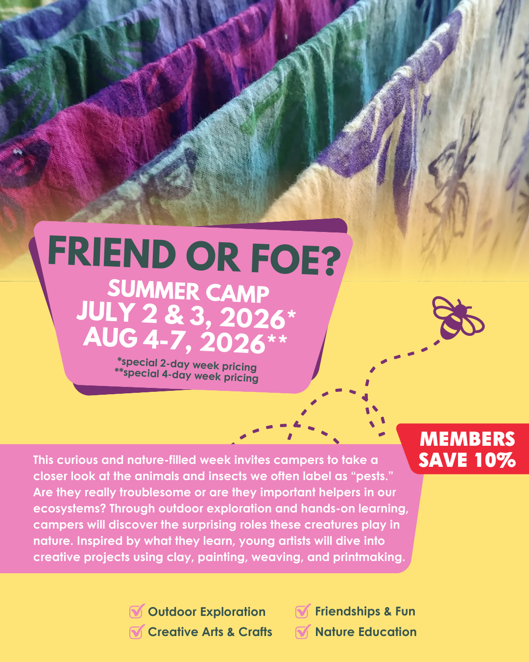 Summer Camp | Week 6: Friend or Foe?