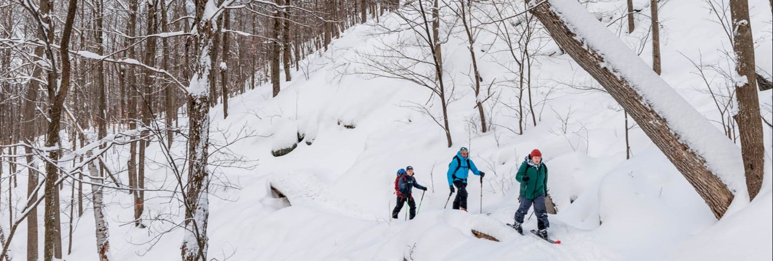 Ski de randonnée alpine de soirée - Bromont