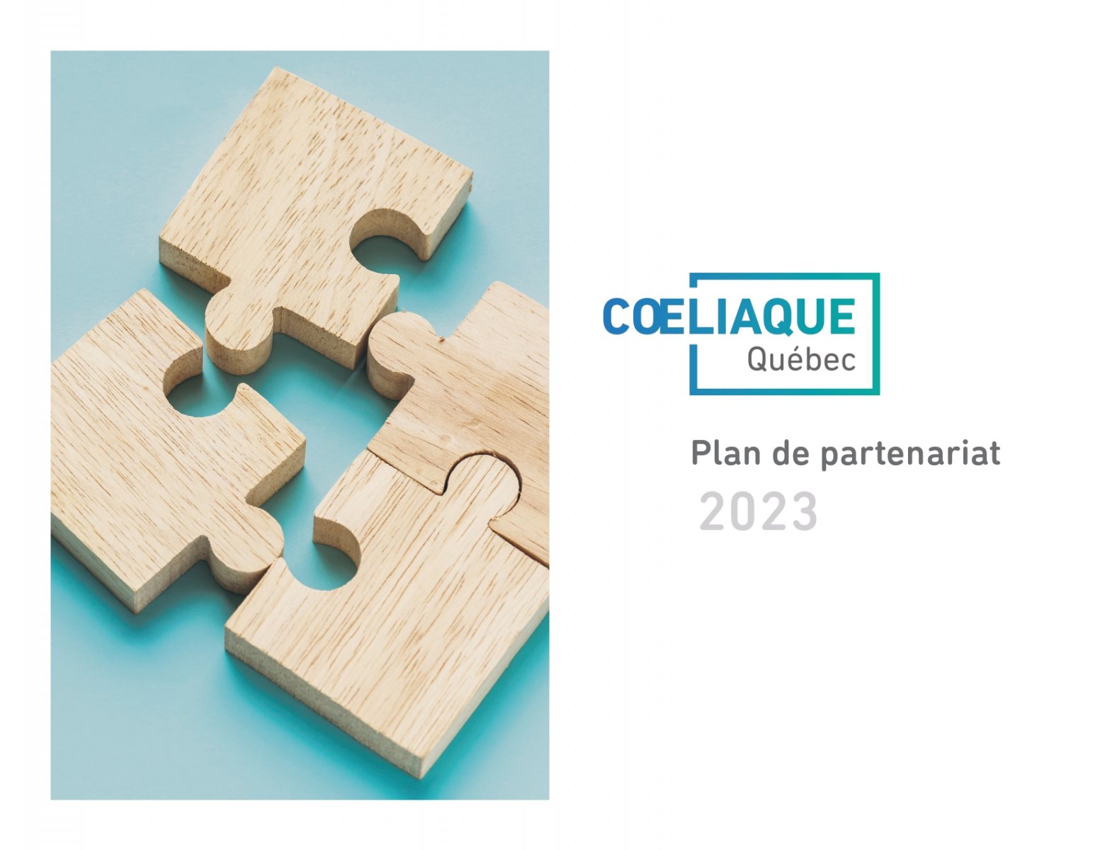 Plan de partenariat 2021