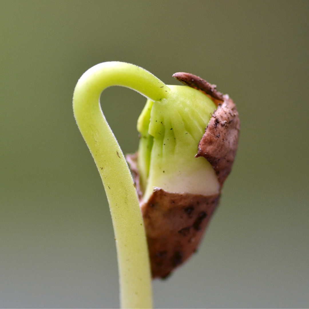 La culpabilité : quand on se juge trop sévèrement  