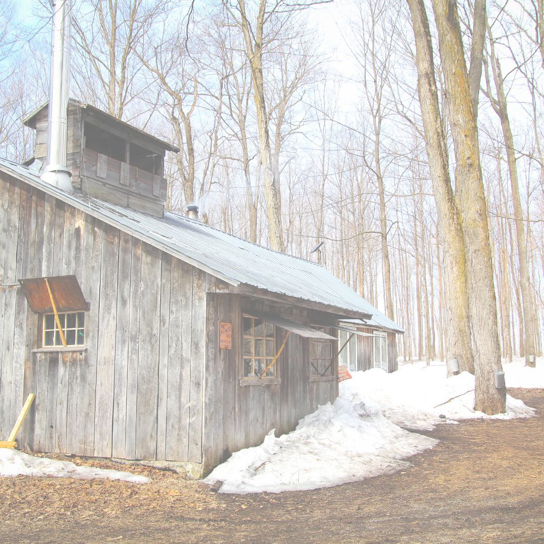 Sortie - Cabane à sucre