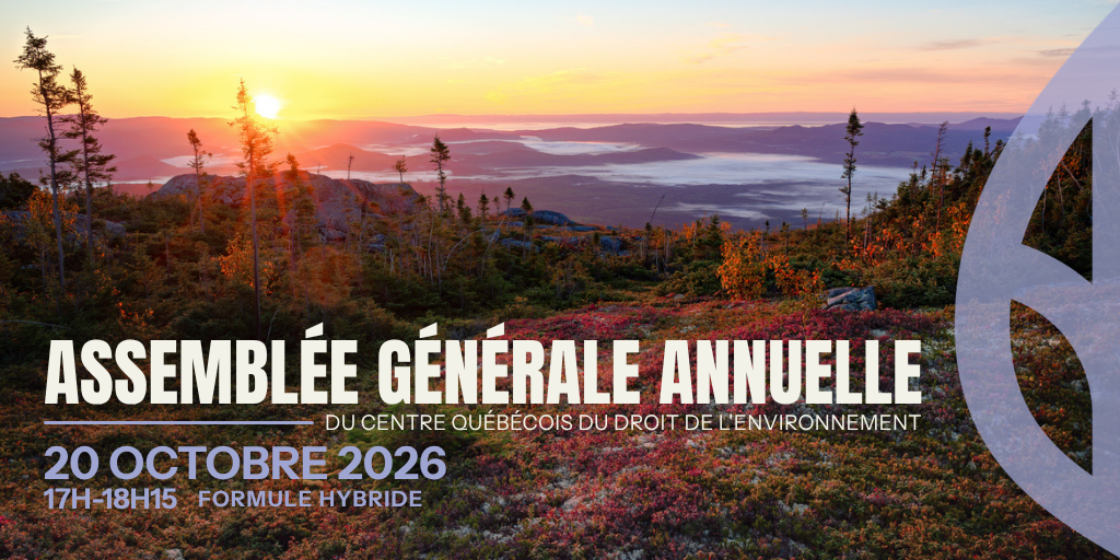 Assemblée générale annuelle 2026