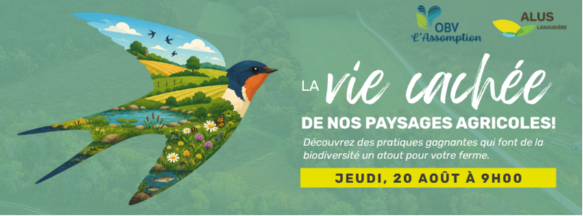 La vie cachée de nos paysages agricoles