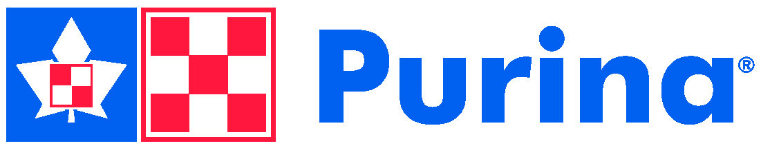 News - Thumbnail