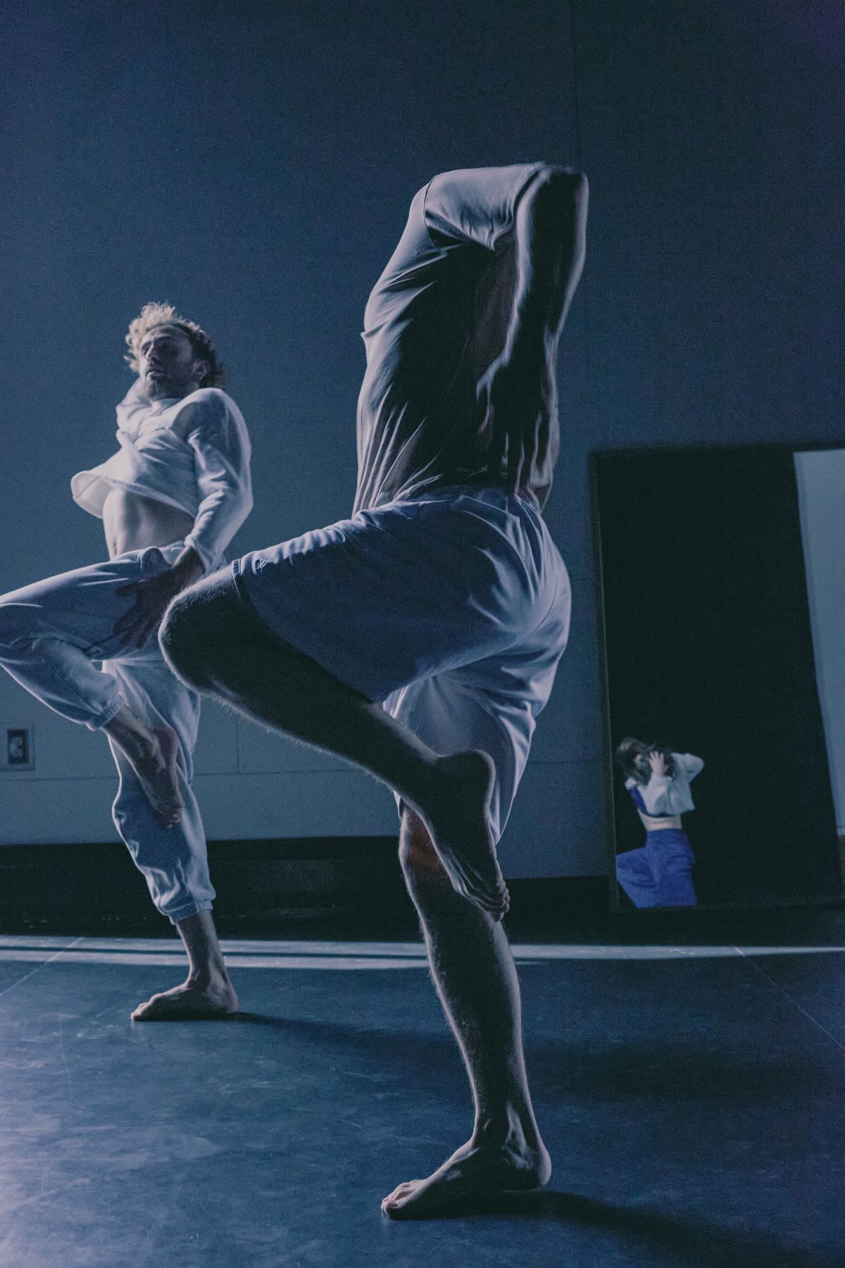 Dancer Training Support Program