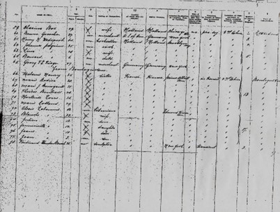 Photo 3 Liste des passagers (document provenant de Ellis Island)