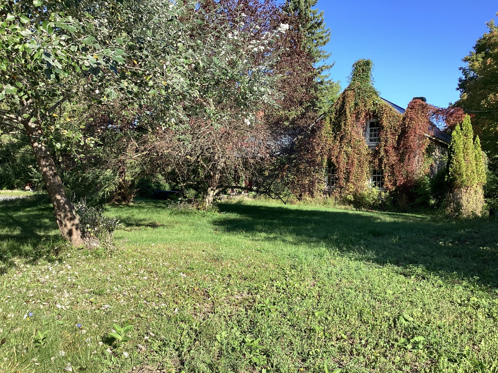 Type de maison rurale Canton Bedford. Archives de l'auteure