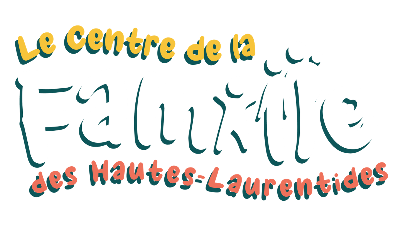 Logo Centre de la famille des Hautes-Laurentides