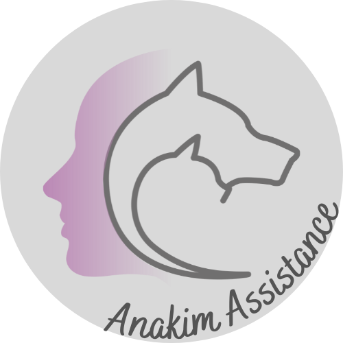 Logo Anakim Assistance