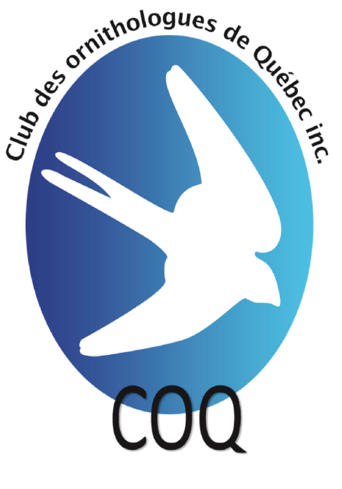 Logo Club des ornithologues de Québec