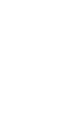 Logo Club des ornithologues de Québec