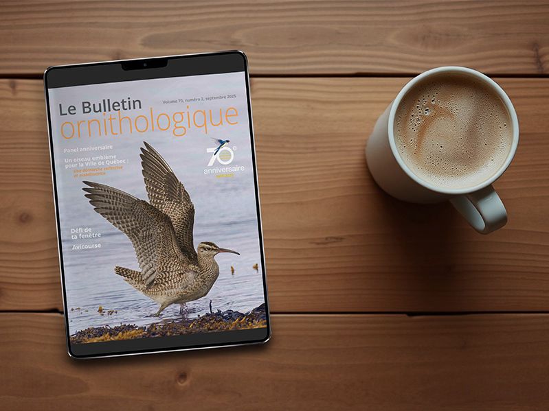 Publications